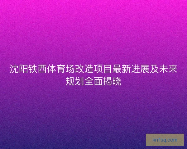 沈阳铁西体育场改造项目最新进展及未来规划全面揭晓