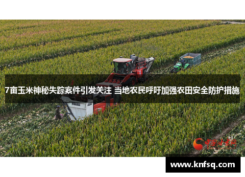 7亩玉米神秘失踪案件引发关注 当地农民呼吁加强农田安全防护措施